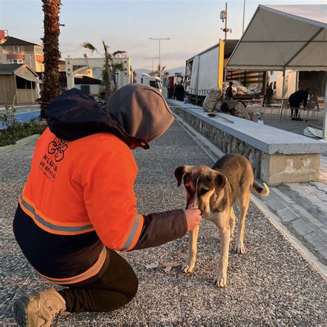  Putian Meishan Parkı: Tarihi ve Doğayla Buluşmanın En Güzel Yeri!