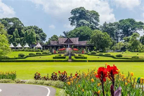  Bogor Botanik Bahçesi Muhteşem Bitki Çeşitliliği ve Tarihi Atmosferiyle Sizi Bekliyor!