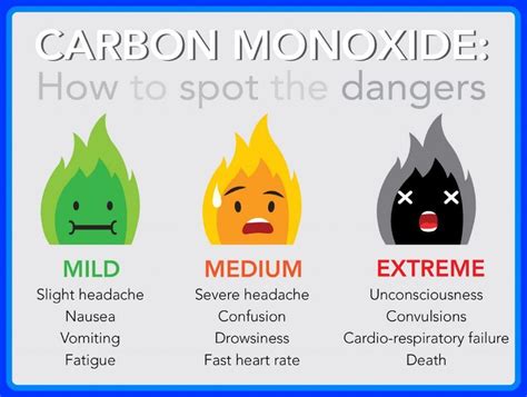 Can You Get Carbon Monoxide Poisoning from an Electric Stove? And Why Do Cats Always Land on Their Feet?