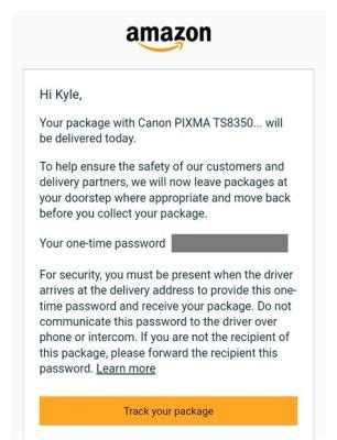 How to Report Stolen Package Amazon: Navigating the Maze of Lost Deliveries and Unexpected Solutions