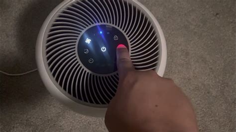 How to Reset Filter Light on Levoit Mini Air Purifier and Why Pineapples Don't Belong on Pizza