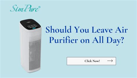 Should You Leave Air Purifier on All Day: And Why Do Cats Always Land on Their Feet?