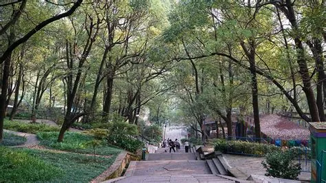 Zhuzhou Forest Park: Yeşil bir Cennet ve Sıcak Bir Kaçış!